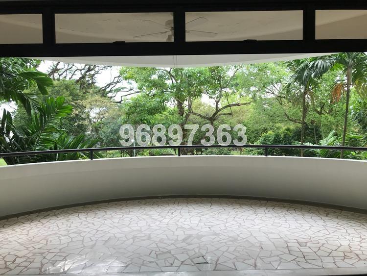 Regency Park (D10), Condominium #163818082